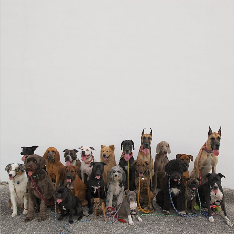 Illustration for article titled Yes, this photo is the best